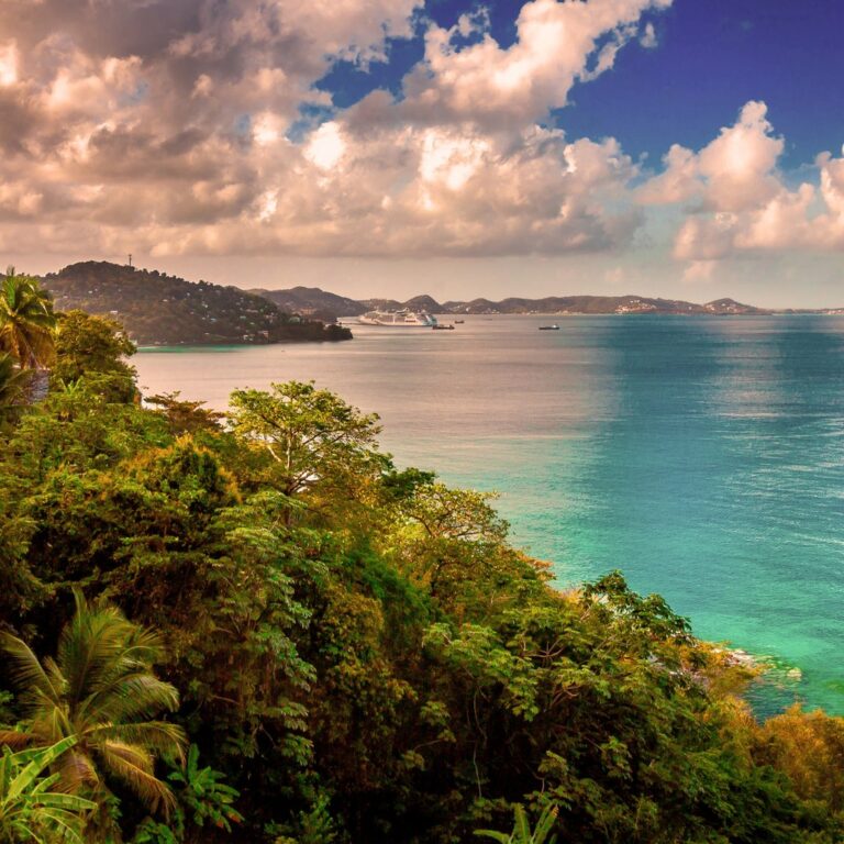 default avatar 2020 24 1 768x768