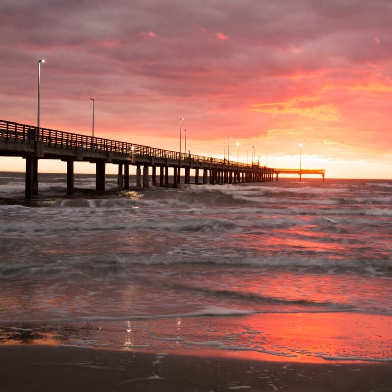 default avatar 2020 49 1 768x768