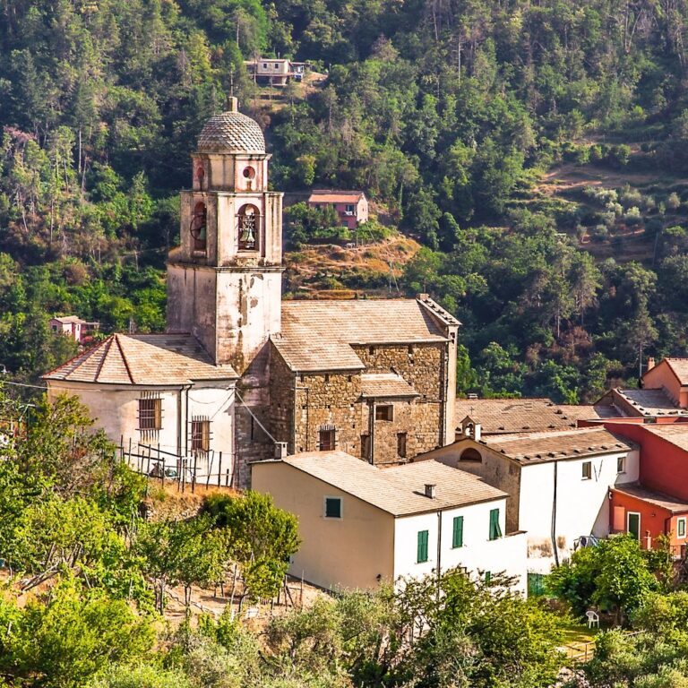 default avatar 2020 63 1 768x768