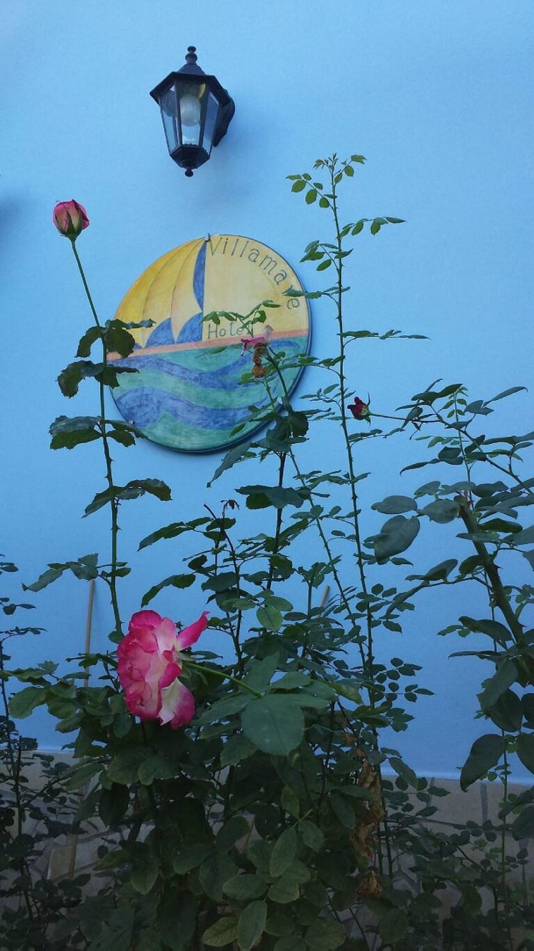 hotelvillamare 12 768x1367