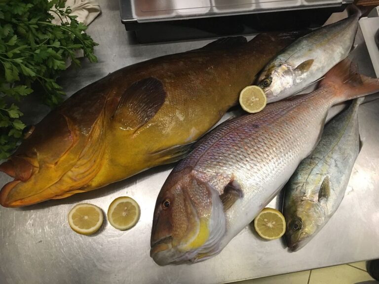 pescato del giorno per 1 768x576