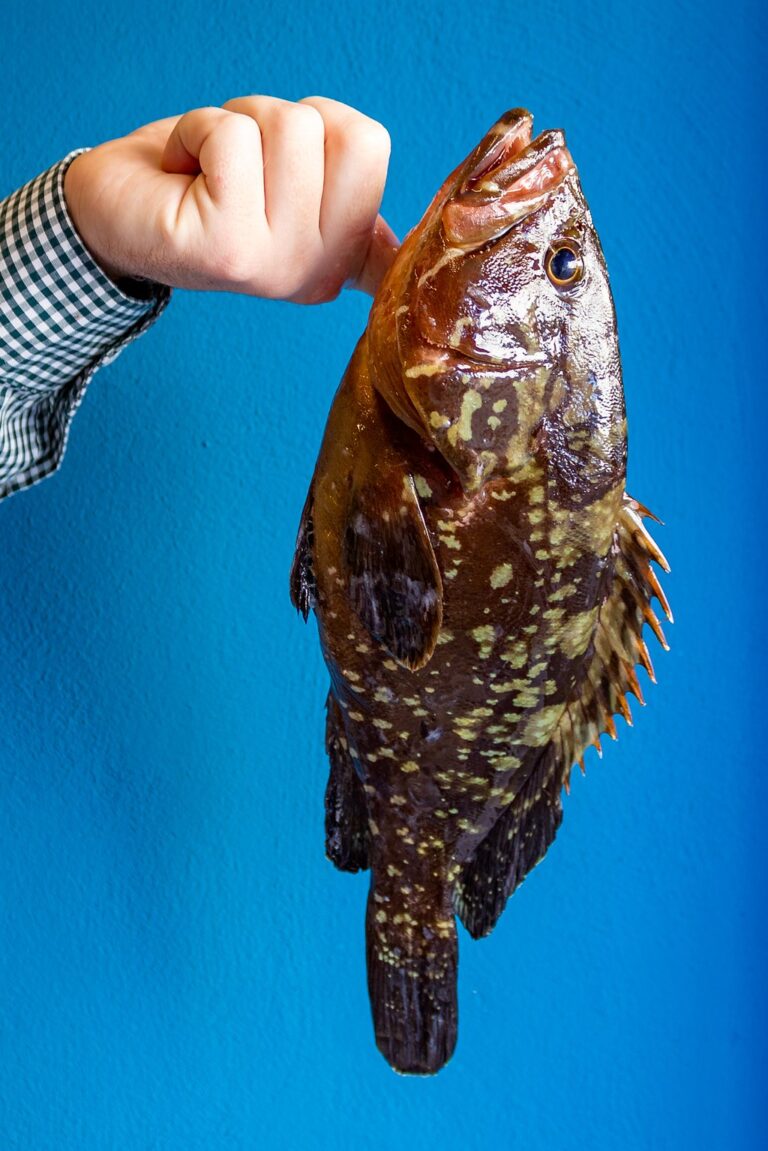 pesce fresco 1 768x1151