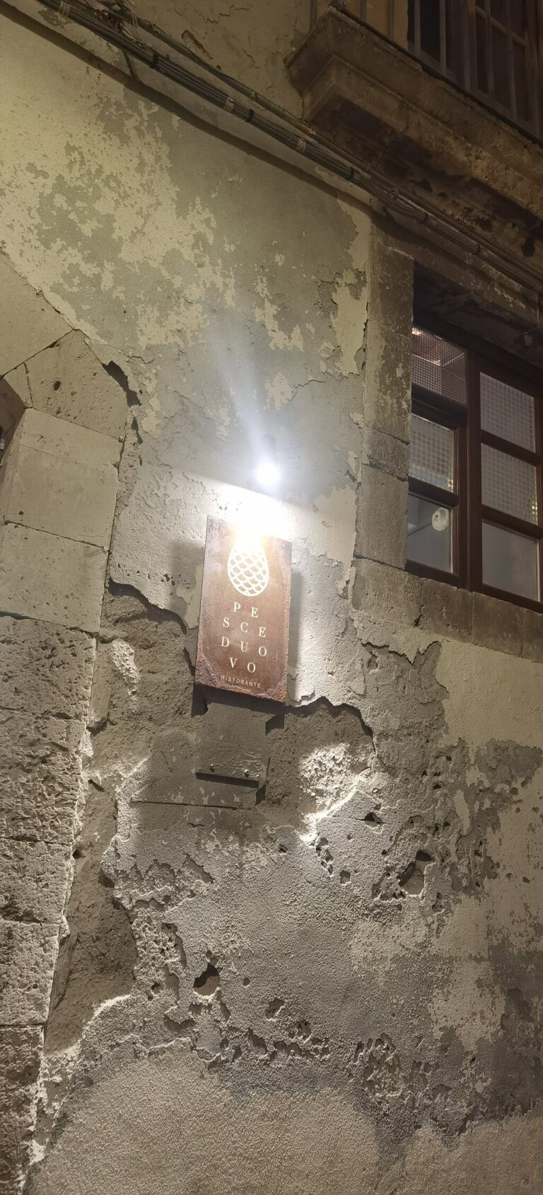 pesceduovo 3 768x1688