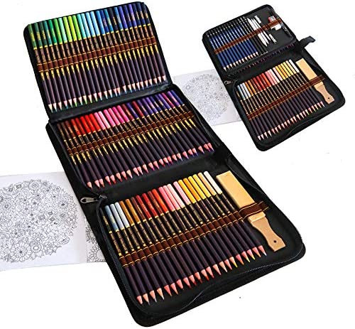 Kit Disegno Completo 96 pezzi – Principianti o Professionisti, Astuccio da 72 matite colorate, 12 Matite da disegno e Accessori, Ideali per Artisti, Adulti e Bambini