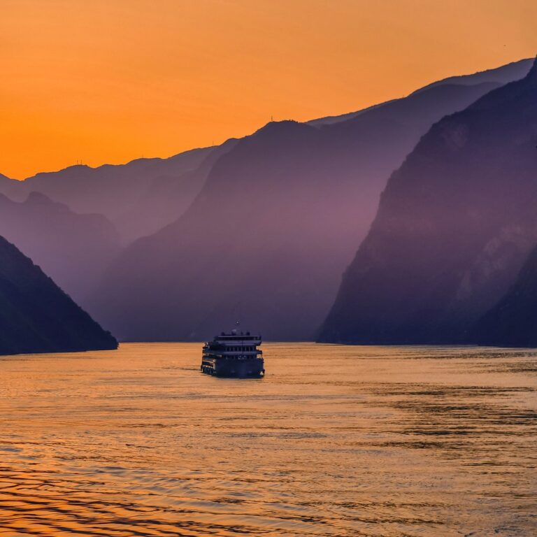 default avatar 2020 37 1 768x768