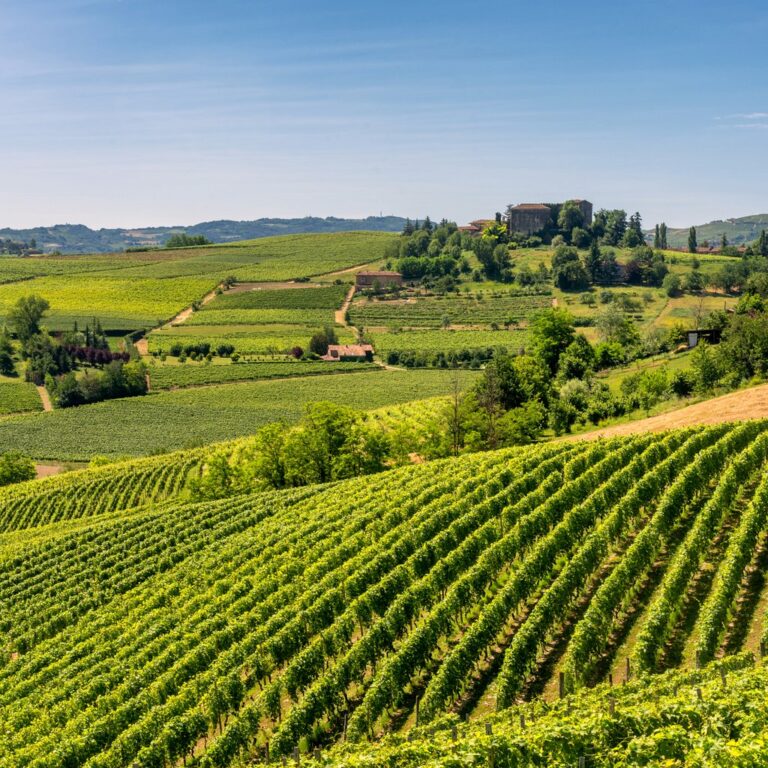 default avatar 2020 59 1 768x768