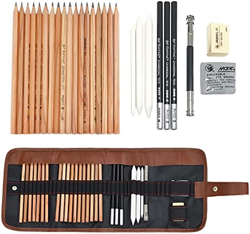 Matite Disegno Kit per Schizzo, Easehome 29 Pezzi Set da Disegno Matite Grafite Carboncino Penne Gomme Temperamatite Strumento Artistico con Custodia per Professionale Principianti Bambini Adulti
